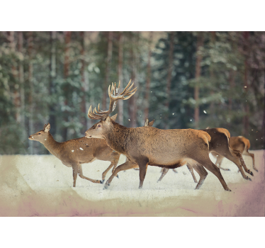 Fotomural de animales ciervos bosque invierno - TenVinilo