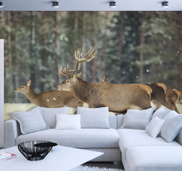 Fotomural de animales ciervos bosque invierno - TenVinilo