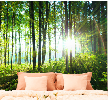 Fotomural de naturaleza Paisaje forestal con reflejo de luz - TenVinilo