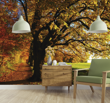 Fotomural paisaje bosque otoño para salón - TenVinilo