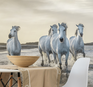 Fotomural animale caballos blancos y marrones corriendo en la pla - TenVinilo