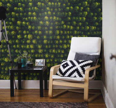 Mural pared de bosque aéreo - TenVinilo