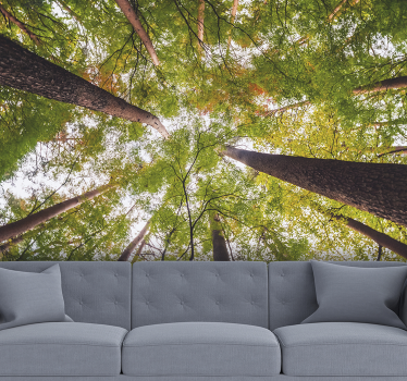 Papel mural pared árboles grandes en bosque - TenVinilo