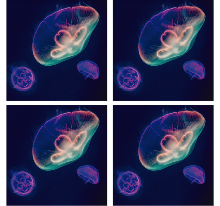 Posavasos frikis criaturas de medusas coloridas - TenVinilo