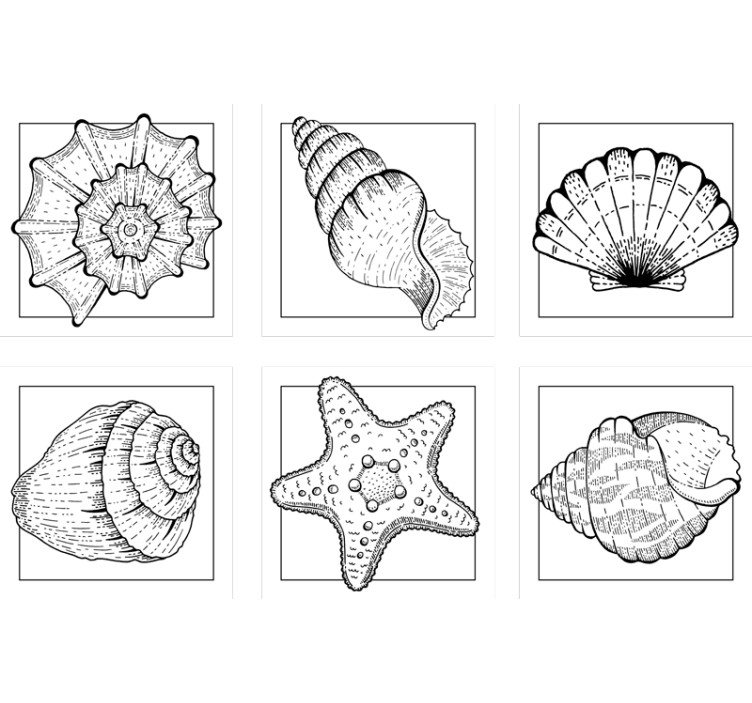 Posavasos con detalles intrincados de conchas - TenVinilo