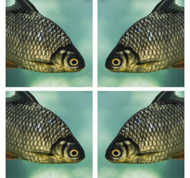Posavasos frikis con imágenes realistas de peces - TenVinilo