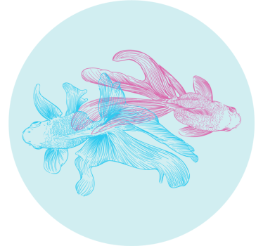 Posavasos frikis ilustraciones de peces bicolor - TenVinilo