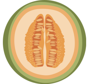 Posavasos frikis motivos de rodajas de fruta - TenVinilo