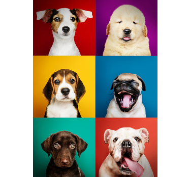 Cartel de cachorro de perro - TenVinilo