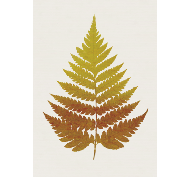 Poster plantas hoja de helecho dorado - TenVinilo