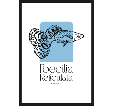 Poster peces peces guppy - TenVinilo