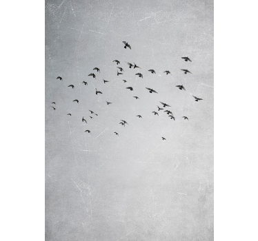 Poster animales pájaros volando - TenVinilo