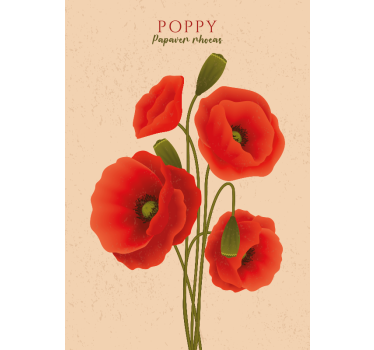 Poster flores amapolas - TenVinilo