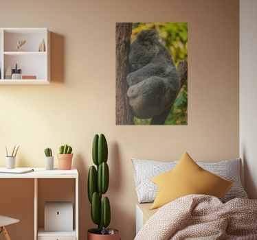 Poster habitación juvenil koala durmiendo - TenVinilo