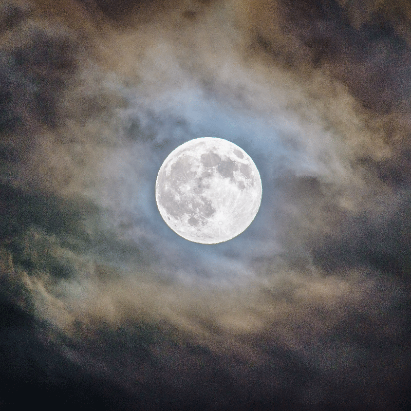 Poster salón noche de luna llena - TenVinilo