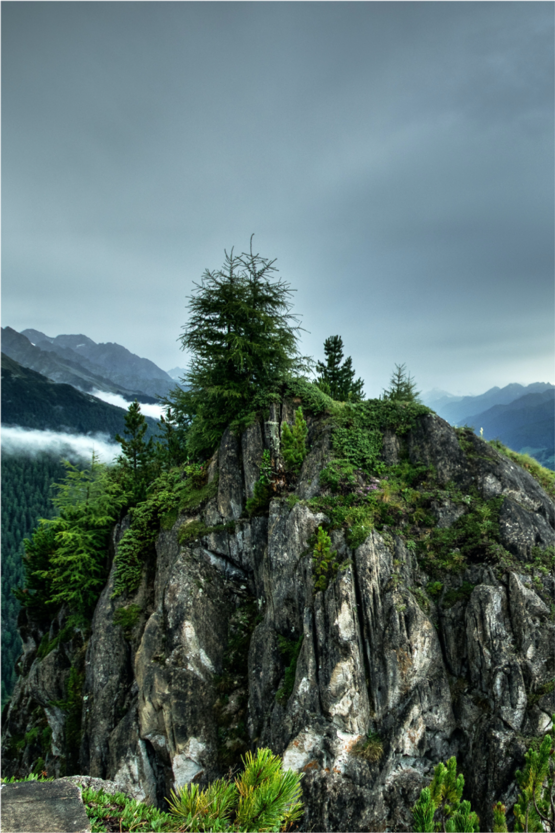 Poster salón roca solitaria en bosque verde - TenVinilo
