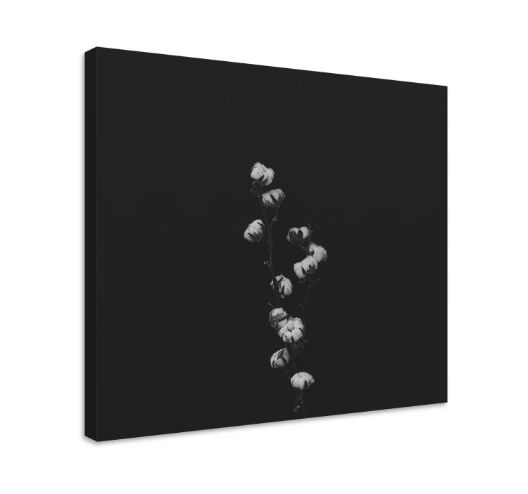 Cuadro plantas Planta de algodón - TenVinilo