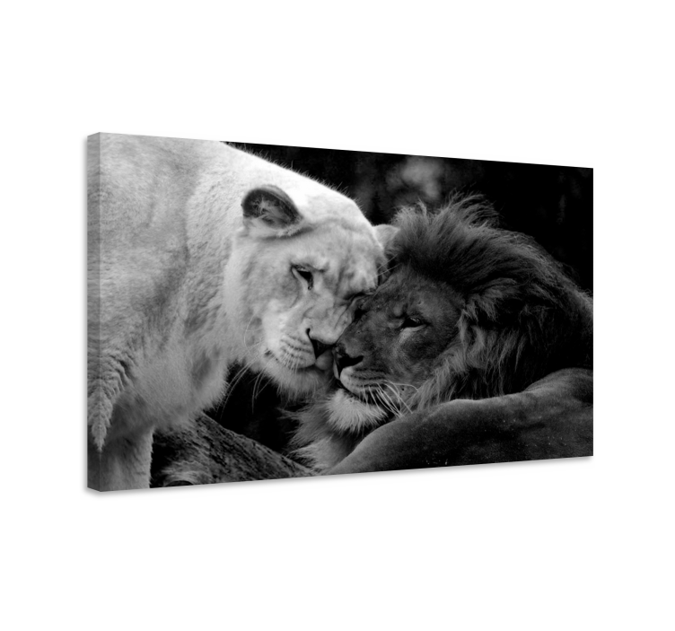 Cuadro animales Pareja de leones blanco y negro - TenVinilo