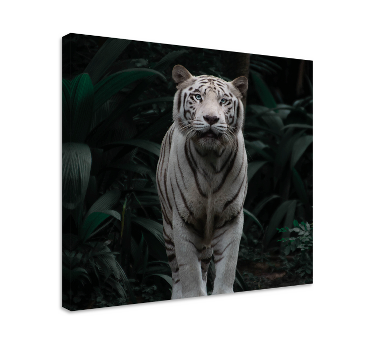 Cuadro animales Tigre blanco - TenVinilo