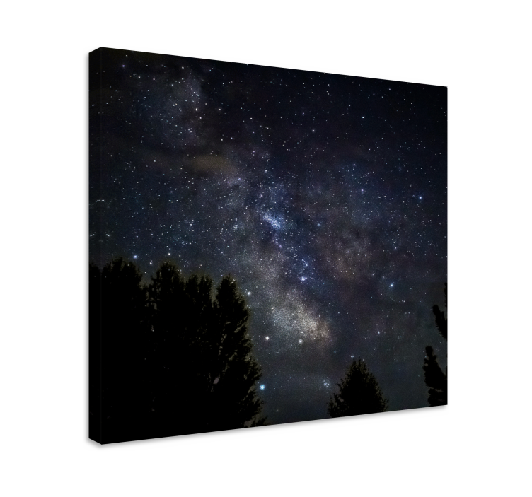 Cuadro paisajes Noche cielo estrellado - TenVinilo