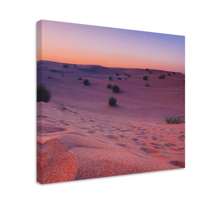 Cuadro paisajes serenidad en las dunas del desierto - TenVinilo