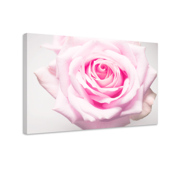 Cuadro de flores rosa blush en flor - TenVinilo