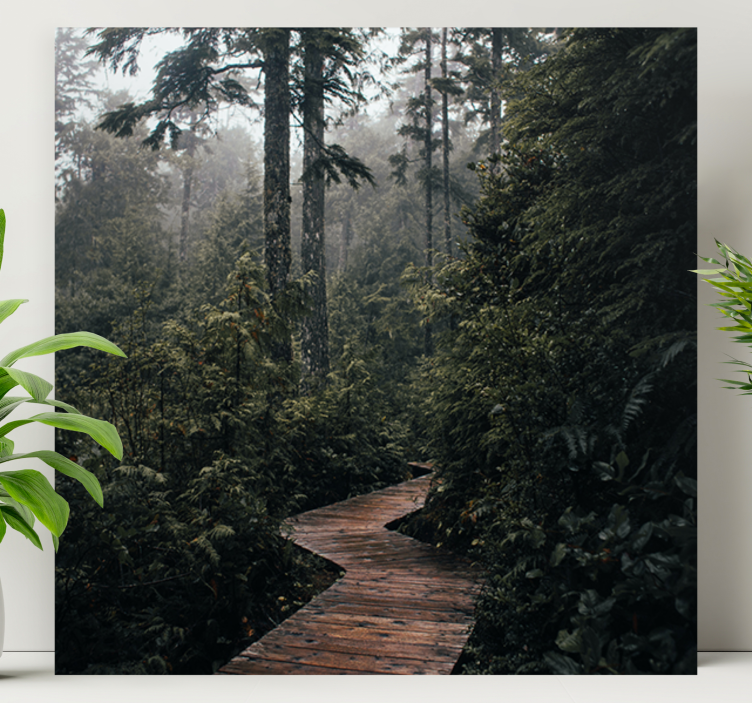 Cuadro paisajes sendero del bosque tranquilo - TenVinilo