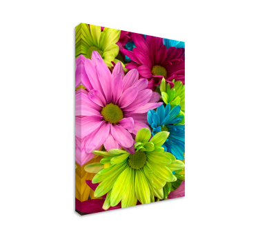Flores pintura Flores coloridas - TenVinilo