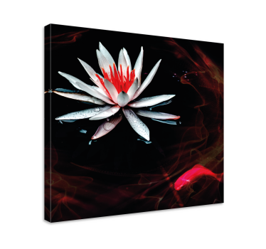 Cuadro zen flor en agua en calma - TenVinilo