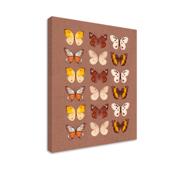 Cuadro retro vintage Mariposas vintage - TenVinilo