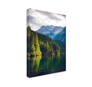 Cuadro de paisaje Lago y bosque natural - TenVinilo