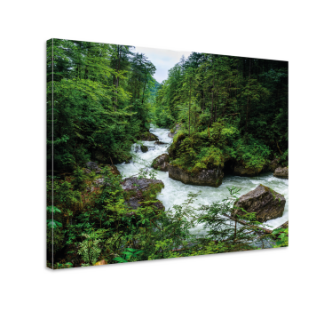 Cuadro de paisaje Arroyo en las montañas - TenVinilo