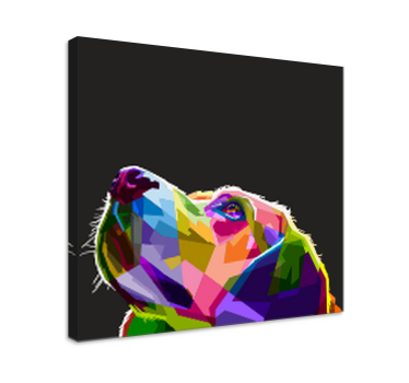 Cuadro de perro Perro arcoiris - TenVinilo