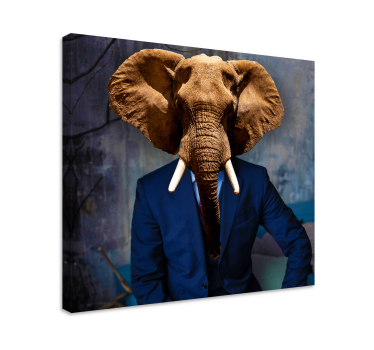 Cuadro de animales Señor elefante - TenVinilo