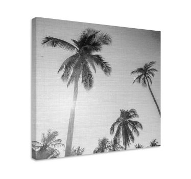 Cuadro para comedor Sol brillante con palma - TenVinilo