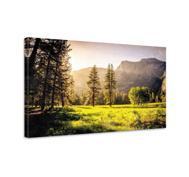 Cuadro de paisaje Rayos de sol a través de los árboles - TenVinilo