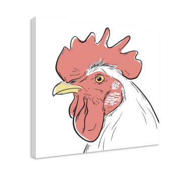 Cuadro de pájaros Retrato de pollo blanco - TenVinilo
