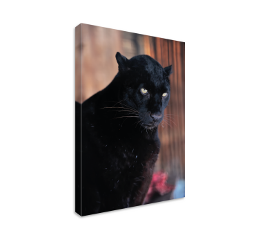 Cuadro en 3d Acecho de leopardo - TenVinilo