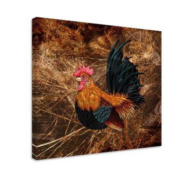 Cuadro de pájaros Gallo dibujado en paja - TenVinilo