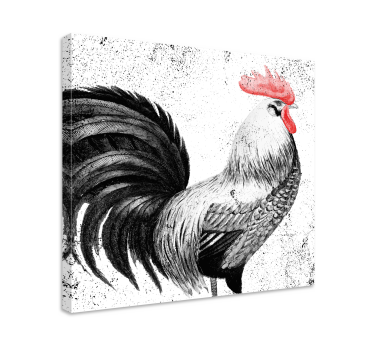 Cuadro de pájaros Gallo negro y rojo - TenVinilo