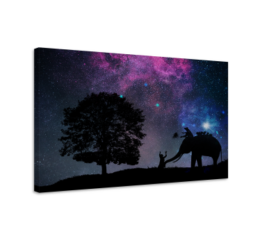 Cuadro decorativo moderno Noche estrellada -elefante - TenVinilo