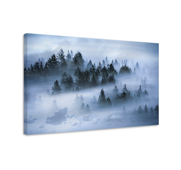 Cuadro de paisaje Impresión estética de pinos y nubes - TenVinilo