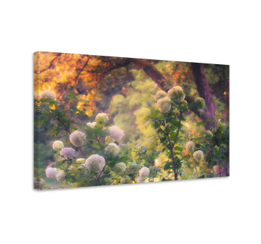 Cuadro de paisaje Amanecer de cabaña - TenVinilo