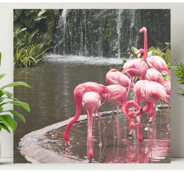 Cuadro cocina Bonito paisaje flamencos rosados - TenVinilo