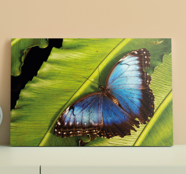 Cuadro con mariposas Detalle de mariposa azul - TenVinilo