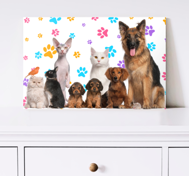 Cuadro de animales Perros y gatos - TenVinilo