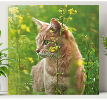 Cuadro de gatos gato curioso paseando - TenVinilo