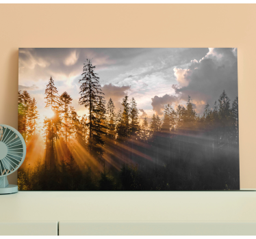 Cuadro de paisaje Bosque con niebla y sol - TenVinilo