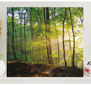 Cuadro de paisaje Paseo por el bosque bajo el sol - TenVinilo
