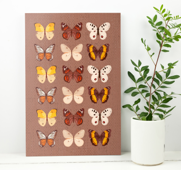 Cuadro retro vintage Mariposas vintage - TenVinilo